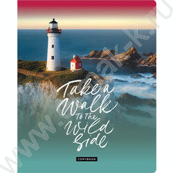 Тетрадь  48л клетка "Жажда странствий" ассорти, эконом | Фото 3