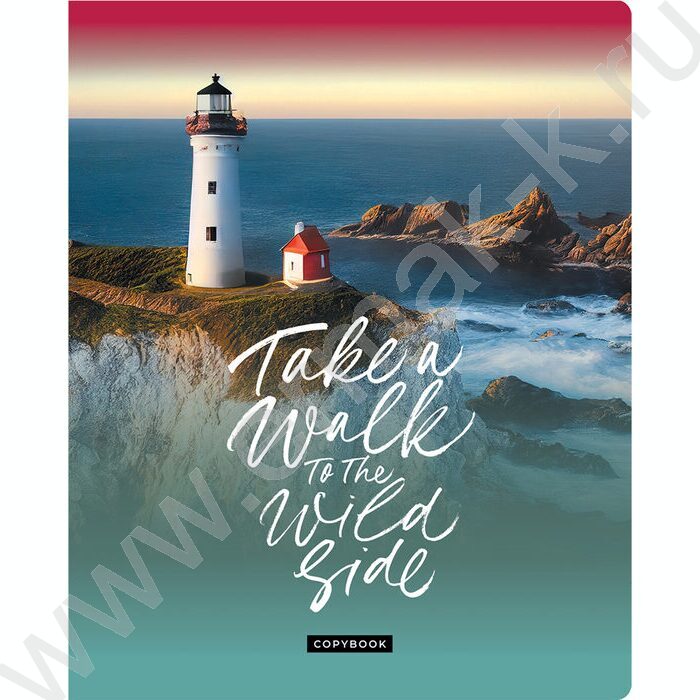 Тетрадь  48л клетка "Жажда странствий" ассорти, эконом | Фото 3