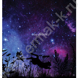 Тетрадь  48л клетка "Котенок" выб. лак/ ассорти | Фото 6