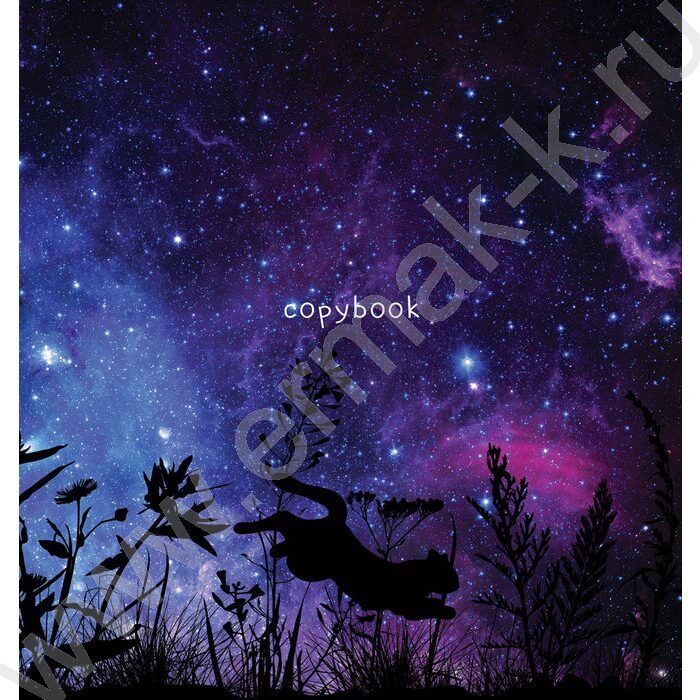 Тетрадь  48л клетка "Котенок" выб. лак/ ассорти | Фото 6