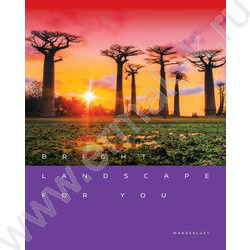 Тетрадь  48л клетка "Местоположение" глянцевая ламинация/ ассорти | Фото 3