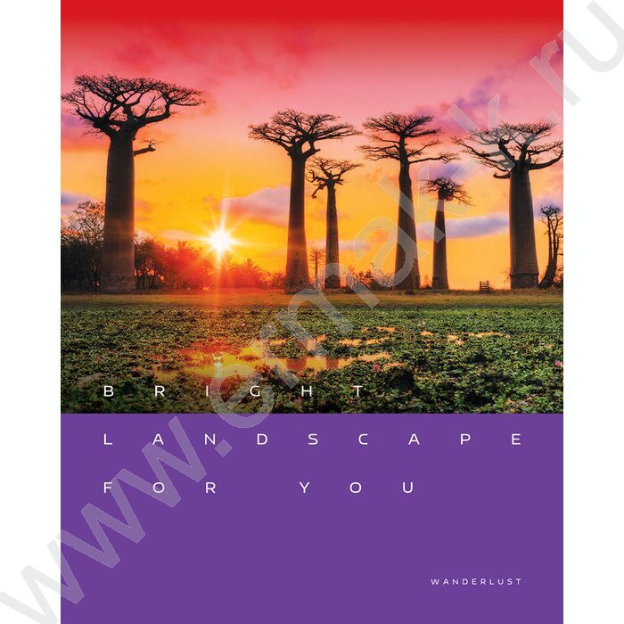 Тетрадь  48л клетка "Местоположение" глянцевая ламинация/ ассорти | Фото 3