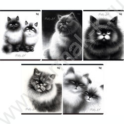 Тетрадь  48л клетка "Пушистые коты" ассорти | Фото 1