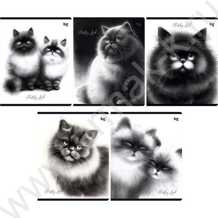 Тетрадь  48л клетка "Пушистые коты" ассорти | Фото 1