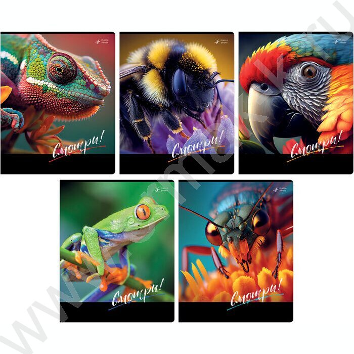 Тетрадь  48л клетка "Смотри" ассорти, суперэконом | Фото 1