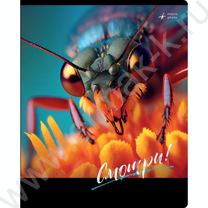 Тетрадь  48л клетка "Смотри" ассорти, суперэконом | Фото 2