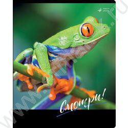 Тетрадь  48л клетка "Смотри" ассорти, суперэконом | Фото 3