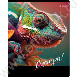 Тетрадь  48л клетка "Смотри" ассорти, суперэконом | Фото 4