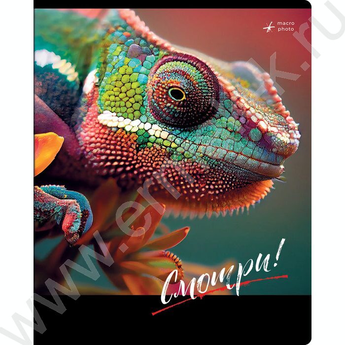 Тетрадь  48л клетка "Смотри" ассорти, суперэконом | Фото 4