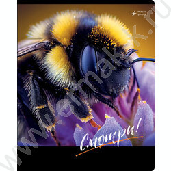 Тетрадь  48л клетка "Смотри" ассорти, суперэконом | Фото 5