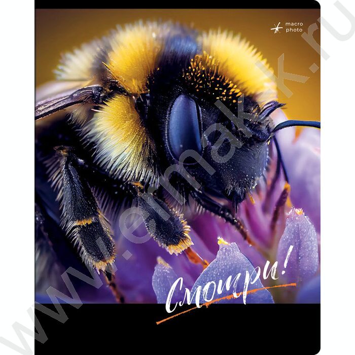 Тетрадь  48л клетка "Смотри" ассорти, суперэконом | Фото 5