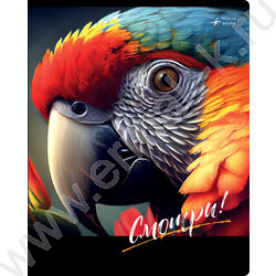 Тетрадь  48л клетка "Смотри" ассорти, суперэконом | Фото 6