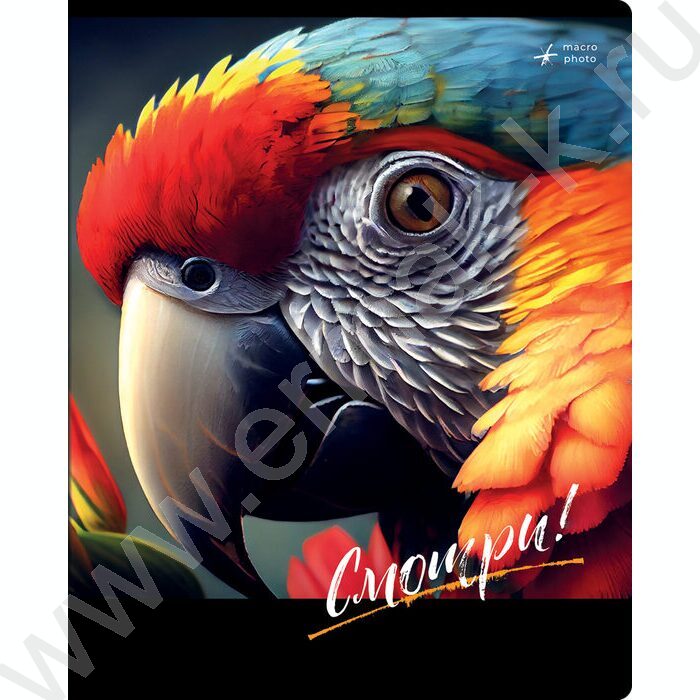 Тетрадь  48л клетка "Смотри" ассорти, суперэконом | Фото 6