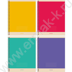 Тетрадь  48л клетка/спираль "Monocolor. Simple" ассорти | Фото 1