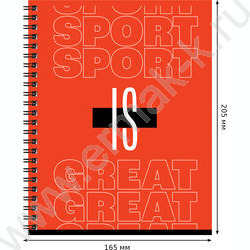 Тетрадь  48л клетка/спираль "Мои правила" матовая ламинация/ ассорти | Фото 2