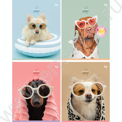 Тетрадь  48л линейка "Lovely" микро sandy-touch лак/ ассорти | Фото 1