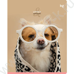 Тетрадь  48л линейка "Lovely" микро sandy-touch лак/ ассорти | Фото 4