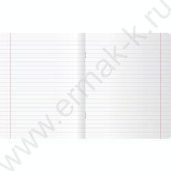 Тетрадь  48л линейка "Lovely" микро sandy-touch лак/ ассорти | Фото 6