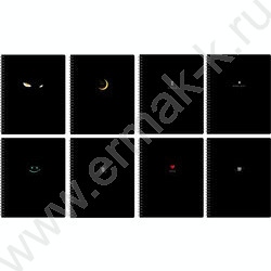 Тетрадь  80л клетка/спираль "In black" выб. лак, двойная обложка/ ассорти | Фото 1