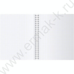 Тетрадь  80л клетка/спираль "Nude" выб. лак/ ассорти | Фото 6