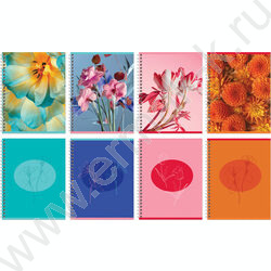 Тетрадь  80л клетка/спираль "Perfect flower" двойная обложка/ ассорти | Фото 1