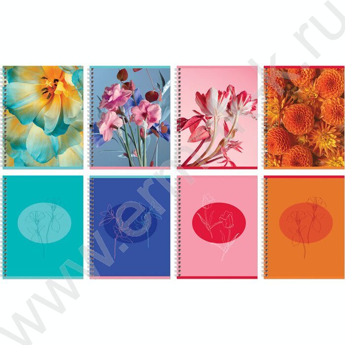 Тетрадь  80л клетка/спираль "Perfect flower" двойная обложка/ ассорти | Фото 1