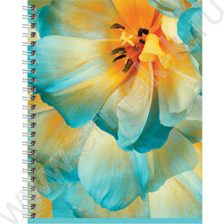Тетрадь  80л клетка/спираль "Perfect flower" двойная обложка/ ассорти | Фото 3
