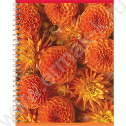 Тетрадь  80л клетка/спираль "Perfect flower" двойная обложка/ ассорти | Фото 5