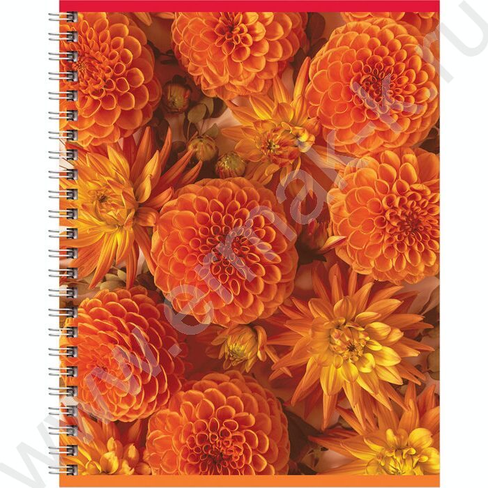 Тетрадь  80л клетка/спираль "Perfect flower" двойная обложка/ ассорти | Фото 5