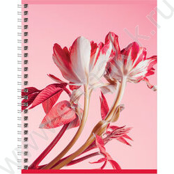 Тетрадь  80л клетка/спираль "Perfect flower" двойная обложка/ ассорти | Фото 6