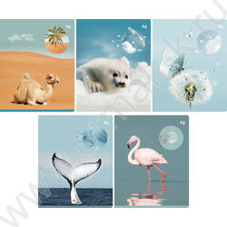 Тетрадь  96л клетка "Естественная среда" soft-touch ламинация/ ассорти | Фото 1