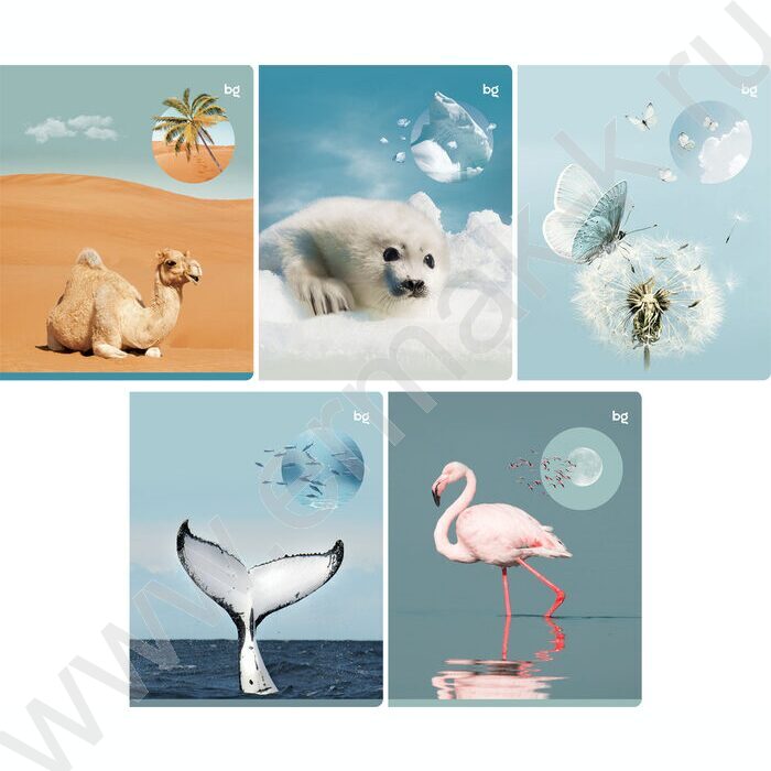 Тетрадь  96л клетка "Естественная среда" soft-touch ламинация/ ассорти | Фото 1