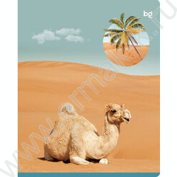 Тетрадь  96л клетка "Естественная среда" soft-touch ламинация/ ассорти | Фото 2