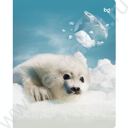 Тетрадь  96л клетка "Естественная среда" soft-touch ламинация/ ассорти | Фото 3