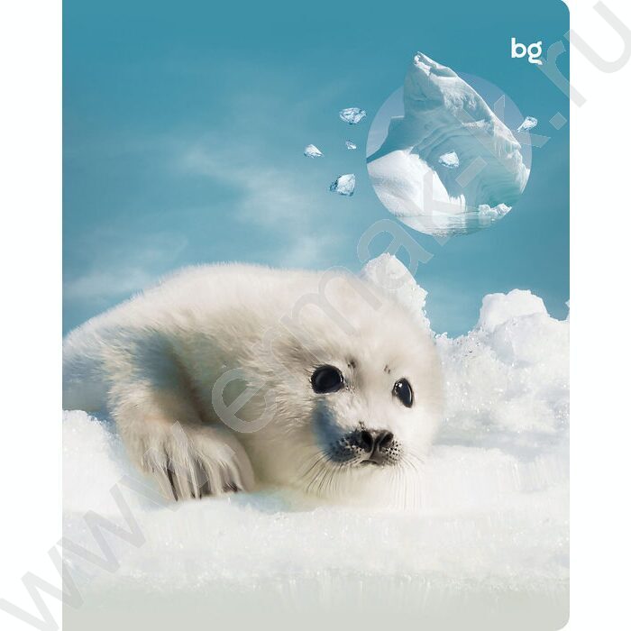 Тетрадь  96л клетка "Естественная среда" soft-touch ламинация/ ассорти | Фото 3