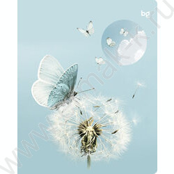 Тетрадь  96л клетка "Естественная среда" soft-touch ламинация/ ассорти | Фото 4