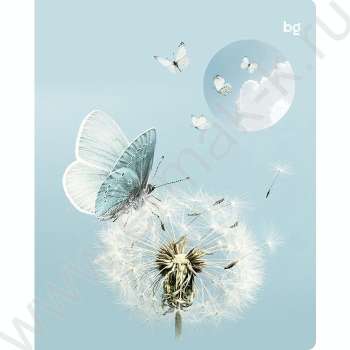 Тетрадь  96л клетка "Естественная среда" soft-touch ламинация/ ассорти | Фото 4