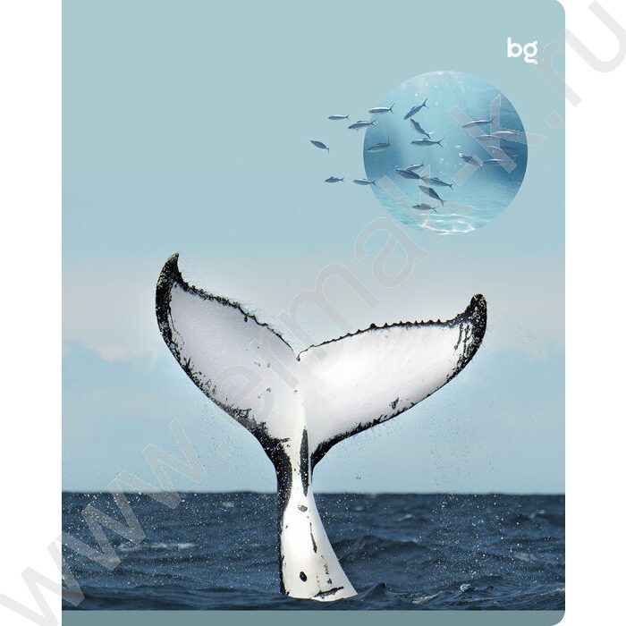 Тетрадь  96л клетка "Естественная среда" soft-touch ламинация/ ассорти | Фото 5