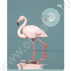 Тетрадь  96л клетка "Естественная среда" soft-touch ламинация/ ассорти | Фото 6