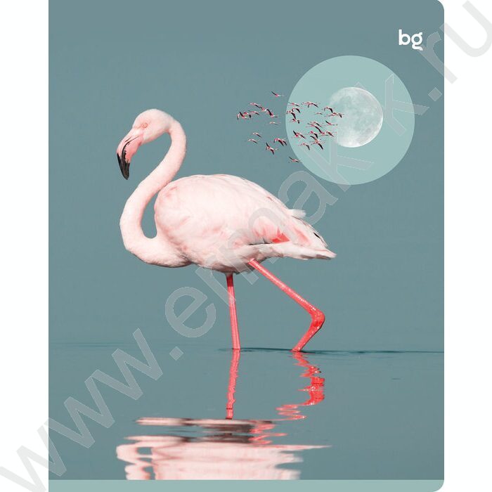 Тетрадь  96л клетка "Естественная среда" soft-touch ламинация/ ассорти | Фото 6