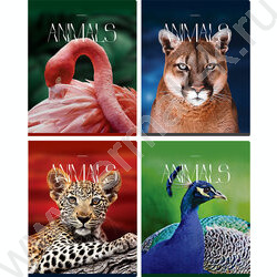 Тетрадь  96л клетка "Животные" глянцевая ламинация/ ассорти | Фото 1