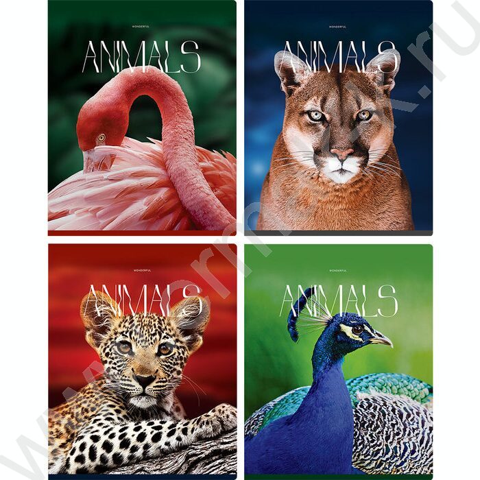 Тетрадь  96л клетка "Животные" глянцевая ламинация/ ассорти | Фото 1