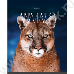 Тетрадь  96л клетка "Животные" глянцевая ламинация/ ассорти | Фото 2