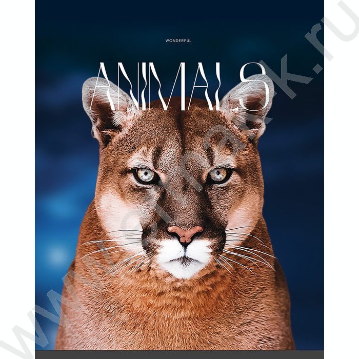 Тетрадь  96л клетка "Животные" глянцевая ламинация/ ассорти | Фото 2