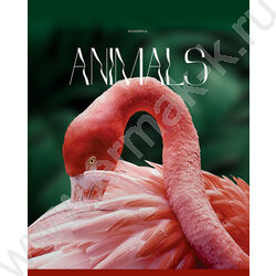 Тетрадь  96л клетка "Животные" глянцевая ламинация/ ассорти | Фото 4