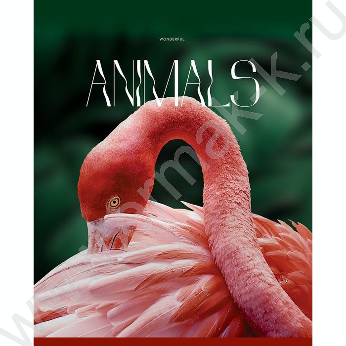 Тетрадь  96л клетка "Животные" глянцевая ламинация/ ассорти | Фото 4