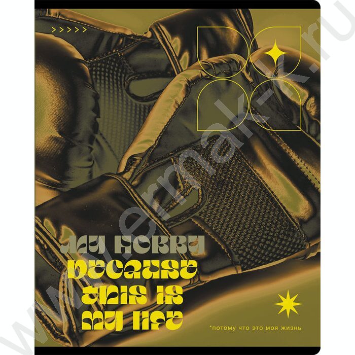 Тетрадь  96л клетка "Мои увлечения" ассорти | Фото 2