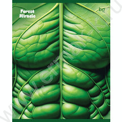 Тетрадь  96л линейка "Forest miracle" ассорти, эконом | Фото 5