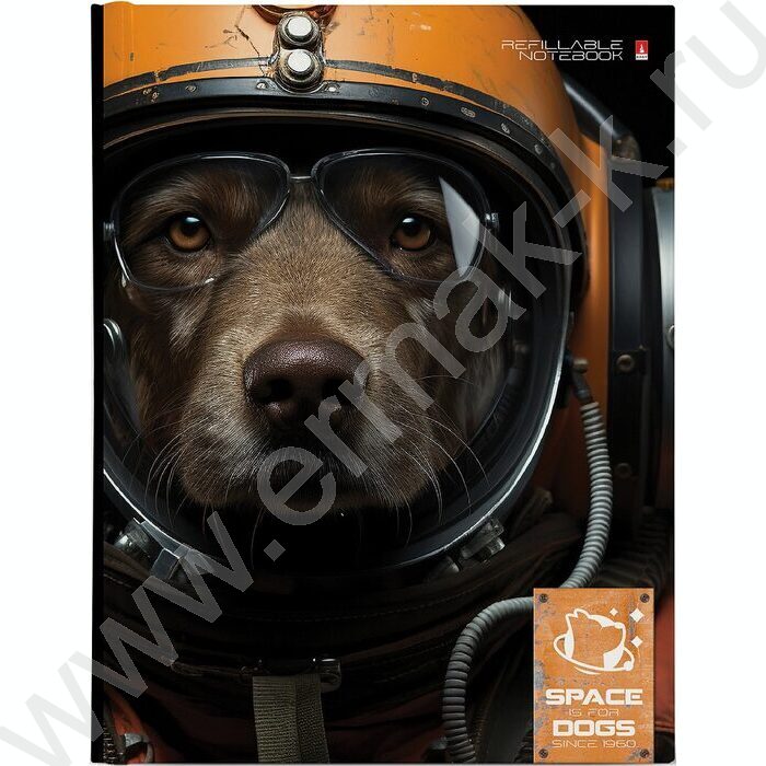 Тетрадь  80л клетка/кольца "Space dogs" со смен.блоком | Фото 1