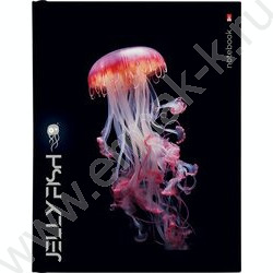 Тетрадь  80л клетка/кольца "Медузы" со смен.блоком | Фото 1